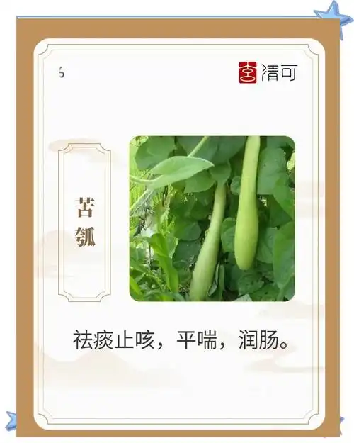葫芦瓜苦味警示：FPS电竞选手的“毒药”陷阱——职业枪法也怕“苦果”